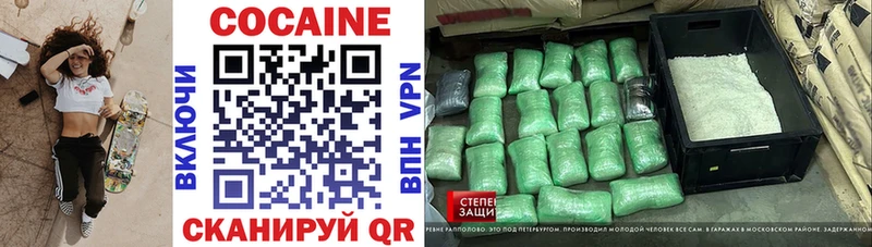 COCAIN Fish Scale  сколько стоит  Закаменск 