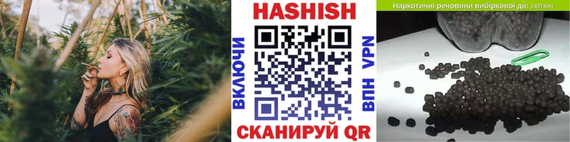 где можно купить наркотик Закаменск Гашиш AMNESIA HAZE
