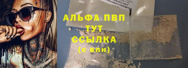 a pvp Гусев