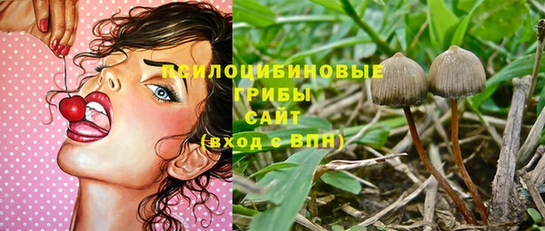 молекула духа Гусь-Хрустальный
