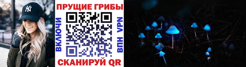Псилоцибиновые грибы мухоморы Закаменск